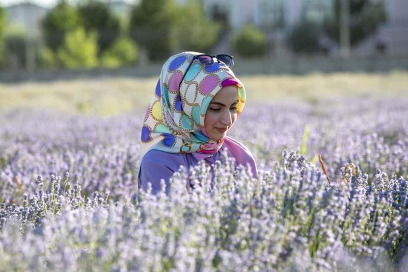 Diyarbakırın yeni cazibe merkezi: Lavanta bahçeleri