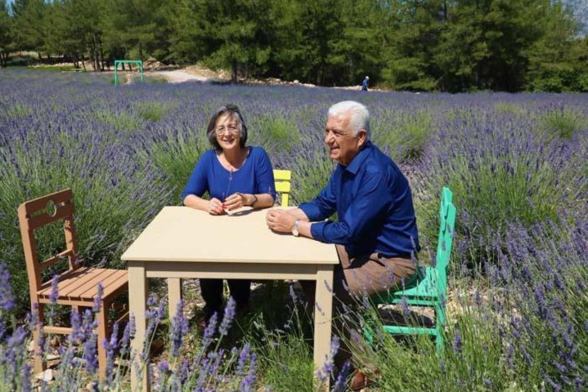 Muğlada mor tarlalar misafirlerini ağırlıyor