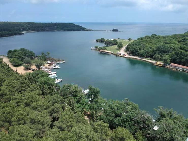Denizle orman Sinopun doğa harikası tabiat parklarında birleşiyor