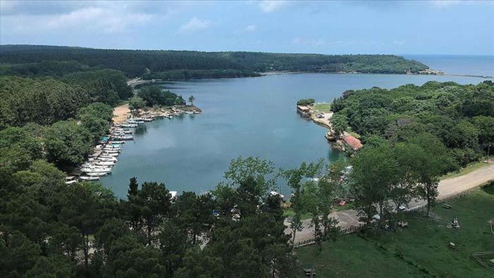 Denizle orman Sinopun doğa harikası tabiat parklarında birleşiyor