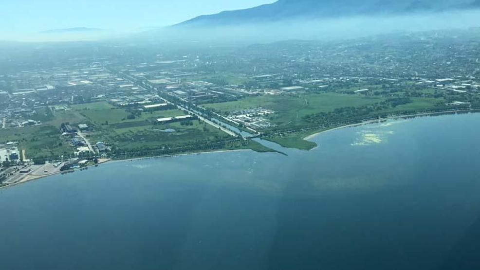 Marmara Denizindeki müsilajın son durumu havadan görüntülendi