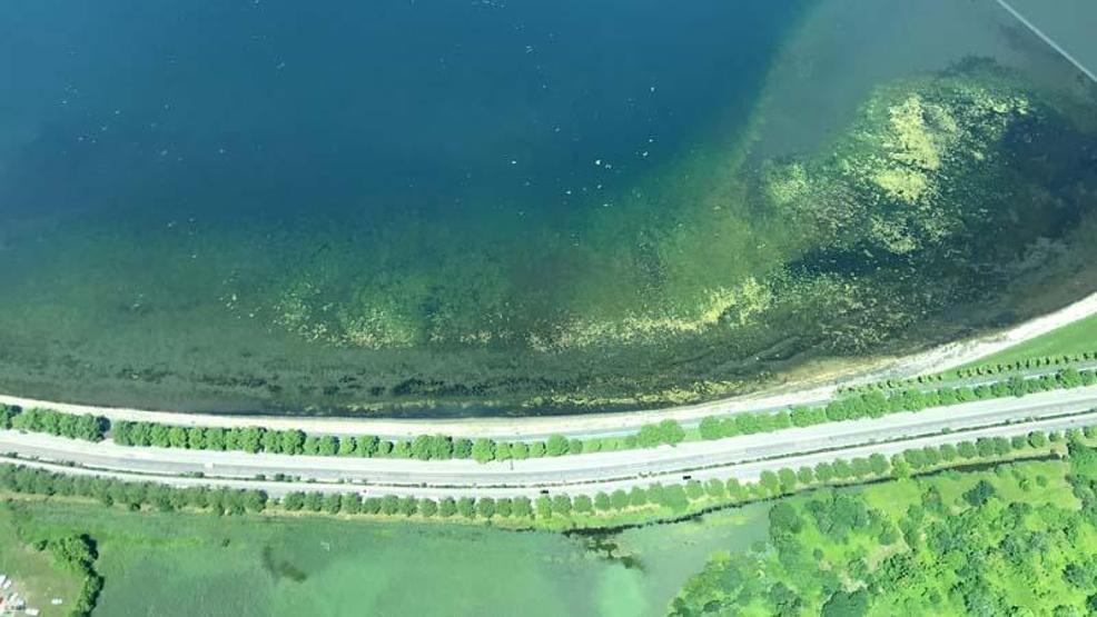 Marmara Denizindeki müsilajın son durumu havadan görüntülendi