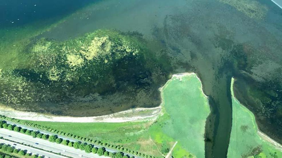 Marmara Denizindeki müsilajın son durumu havadan görüntülendi
