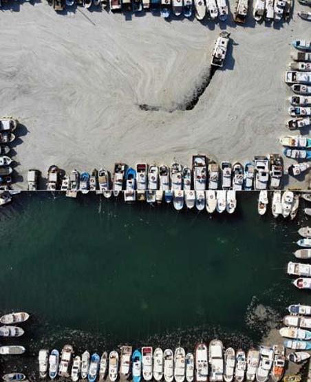 Marmara Denizinin güney kıyılarında müsilaj yok denilecek kadar azaldı