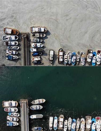 Marmara Denizinin güney kıyılarında müsilaj yok denilecek kadar azaldı