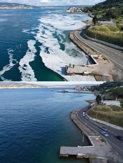 Marmara Denizinin güney kıyılarında müsilaj yok denilecek kadar azaldı