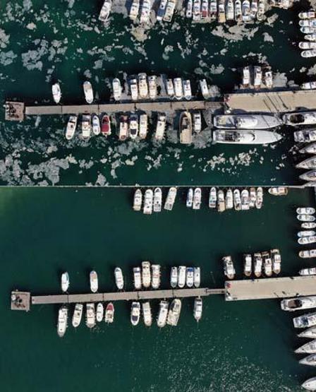 Marmara Denizinin güney kıyılarında müsilaj yok denilecek kadar azaldı
