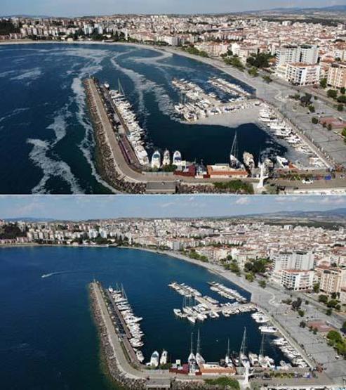 Marmara Denizinin güney kıyılarında müsilaj yok denilecek kadar azaldı