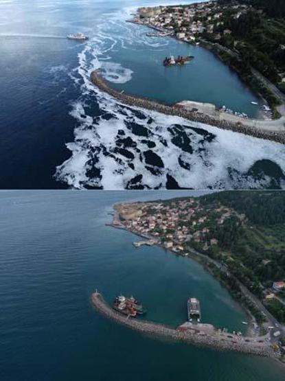 Marmara Denizinin güney kıyılarında müsilaj yok denilecek kadar azaldı