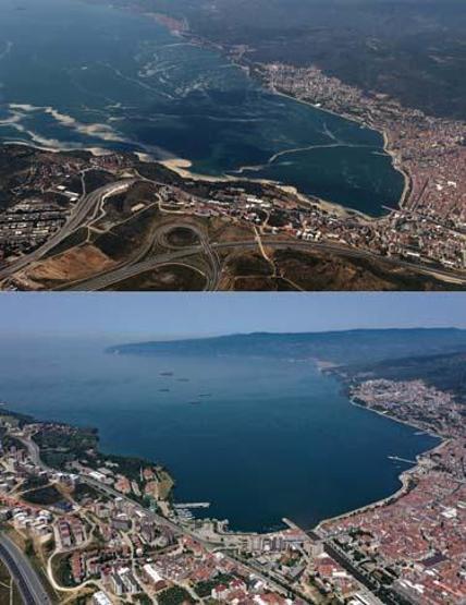 Marmara Denizinin güney kıyılarında müsilaj yok denilecek kadar azaldı