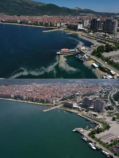 Marmara Denizinin güney kıyılarında müsilaj yok denilecek kadar azaldı