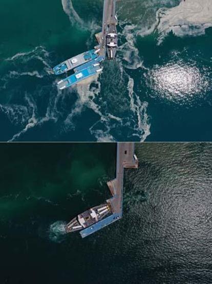 Marmara Denizinin güney kıyılarında müsilaj yok denilecek kadar azaldı