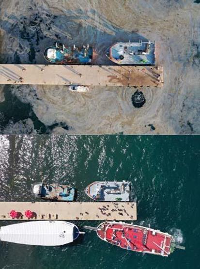 Marmara Denizinin güney kıyılarında müsilaj yok denilecek kadar azaldı