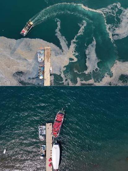 Marmara Denizinin güney kıyılarında müsilaj yok denilecek kadar azaldı