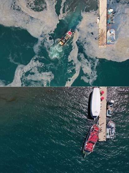 Marmara Denizinin güney kıyılarında müsilaj yok denilecek kadar azaldı
