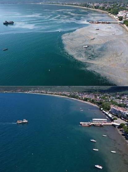 Marmara Denizinin güney kıyılarında müsilaj yok denilecek kadar azaldı