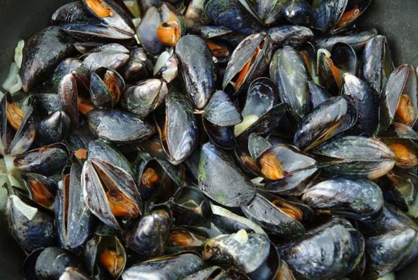 Midye ve dip balığı için korkutan uyarı: Sakın yemeyin, yan etki olabilir