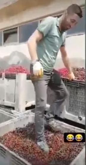 Görüntüler büyük tepki toplamıştı Cezası belli oldu