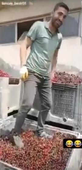 Görüntüler büyük tepki toplamıştı Cezası belli oldu