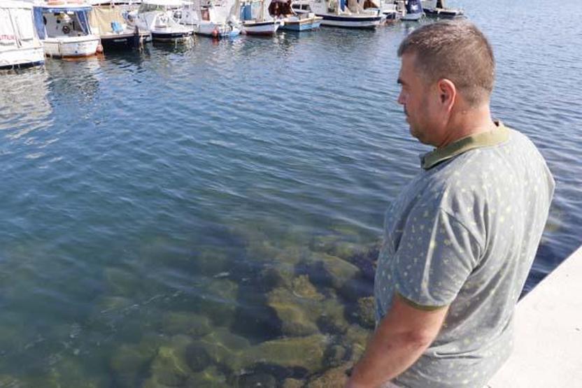 Deniz suyu ısındı, bakterilerin parçaladığı müsilaj azaldı