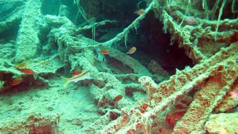 Deniz suyu ısındı, bakterilerin parçaladığı müsilaj azaldı