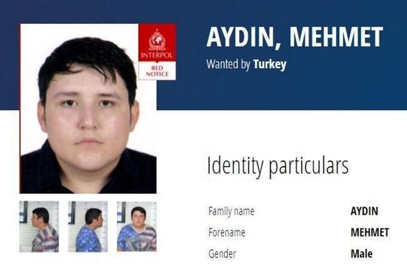 Tosuncuk Mehmet Aydından hakime ilginç cevap: Brezilyadaki o detayı ilk kez anlattı