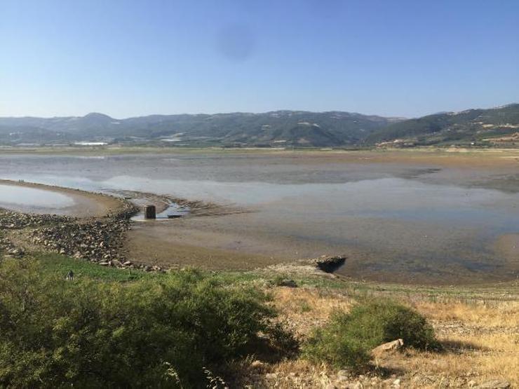 Suyun tahliye edildiği barajdan balık ölülerini sepetlerle topladılar
