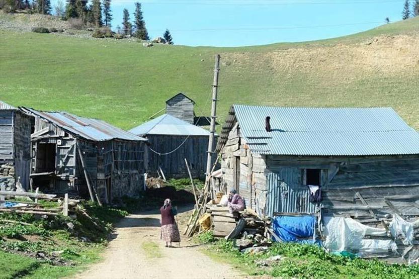 Giresunda sakinlerinin bir çuval altına değişmediği yer: Gölyanı Yaylası