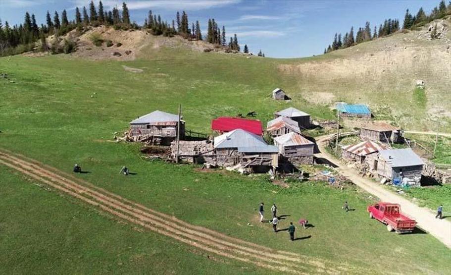 Giresunda sakinlerinin bir çuval altına değişmediği yer: Gölyanı Yaylası
