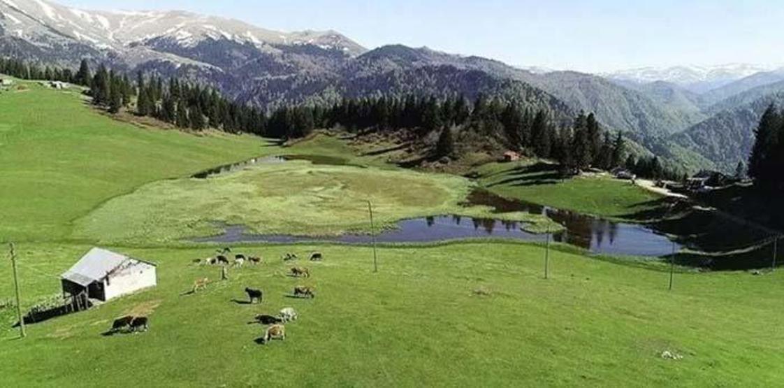 Giresunda sakinlerinin bir çuval altına değişmediği yer: Gölyanı Yaylası