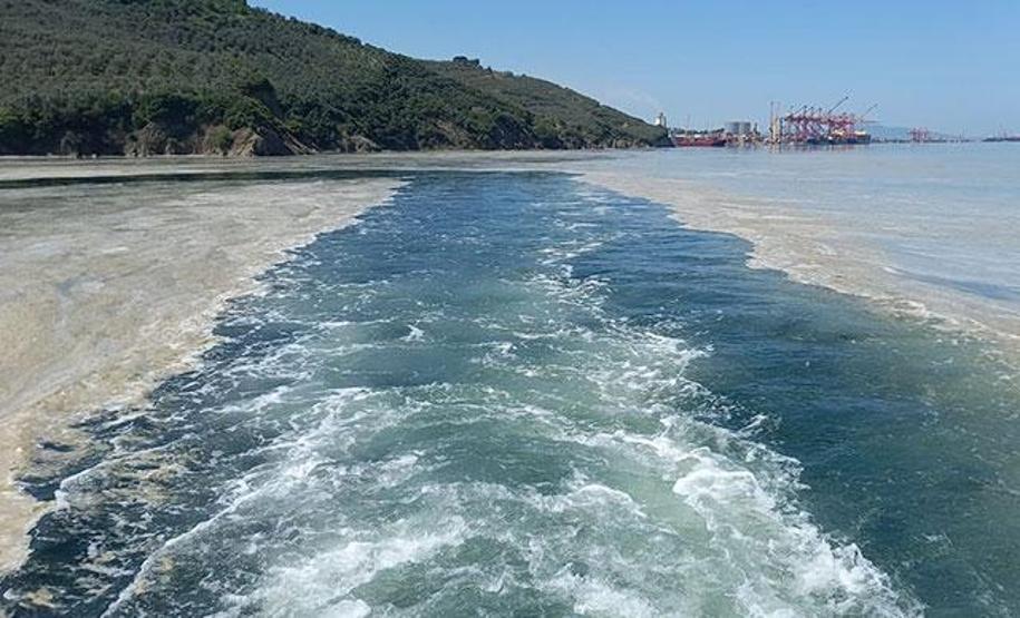2050 yılında denizlerde balıktan çok plastiğe rastlanabilir