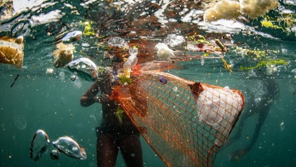 2050 yılında denizlerde balıktan çok plastiğe rastlanabilir