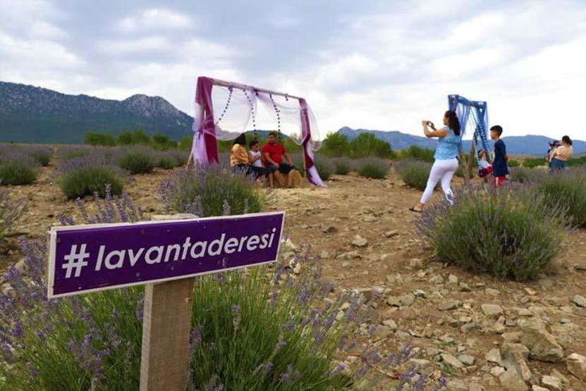 Burdurda görsel şölen sunan mor bahçeler bayram tatilinde binlerce kişiyi ağırladı
