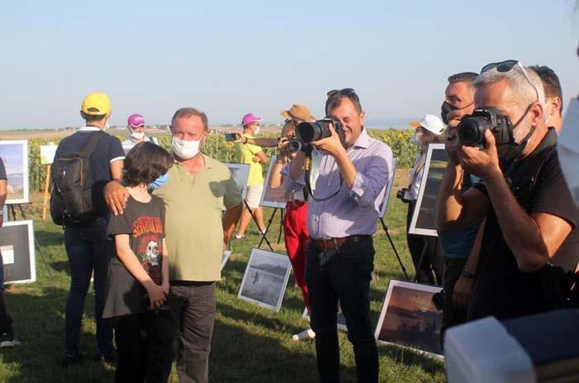 Tekirdağda ayçiçeği tarlasında foto safari