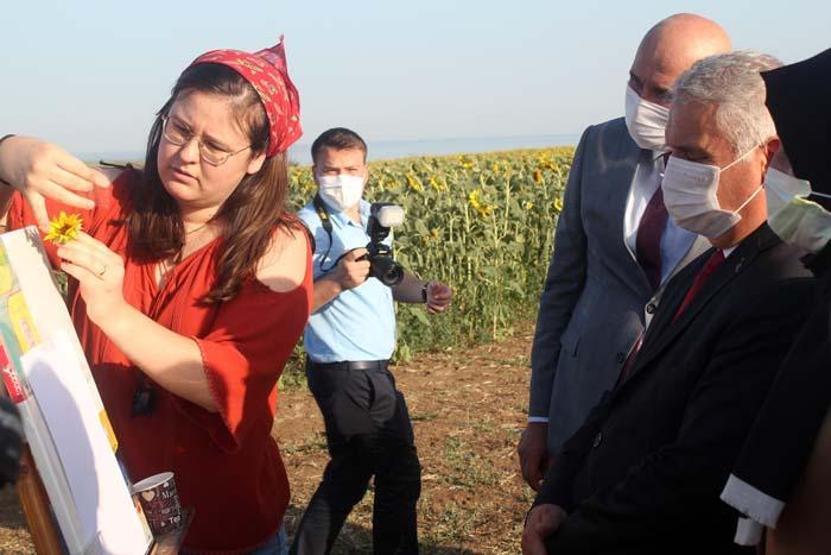Tekirdağda ayçiçeği tarlasında foto safari