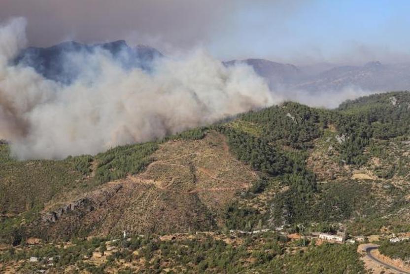 Osmaniye, Manavgat, Mersin ve Adanadaki orman yangınlarında son durum