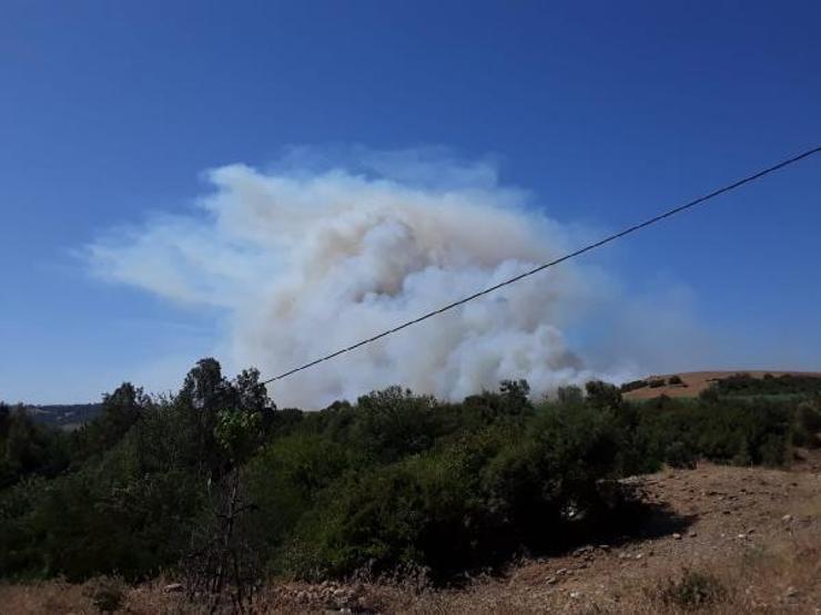 Osmaniye, Manavgat, Mersin ve Adanadaki orman yangınlarında son durum