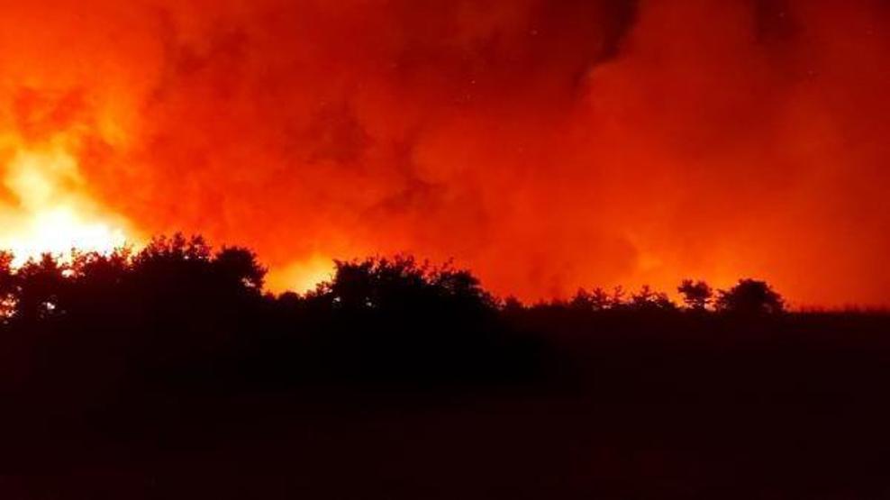 Osmaniye, Manavgat, Mersin ve Adanadaki orman yangınlarında son durum