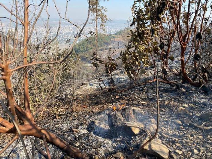 Osmaniye, Manavgat, Mersin ve Adanadaki orman yangınlarında son durum