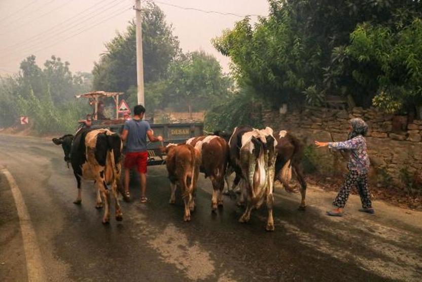 Osmaniye, Manavgat, Mersin ve Adanadaki orman yangınlarında son durum