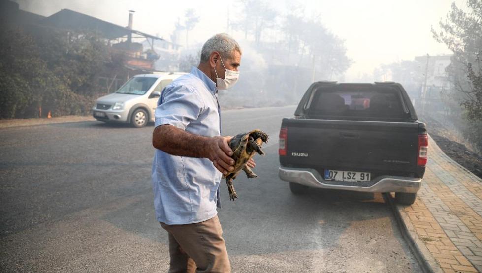 Osmaniye, Manavgat, Mersin ve Adanadaki orman yangınlarında son durum