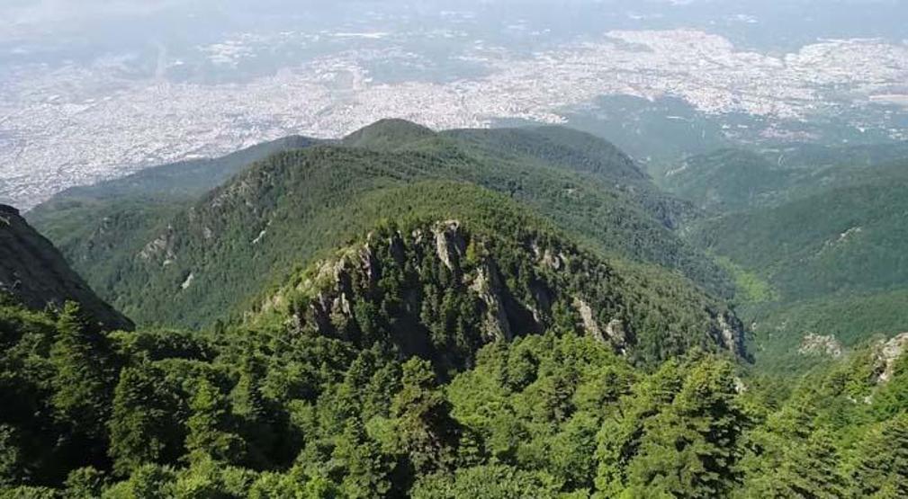 Bayramda milli parklara 5,5 milyon ziyaretçi