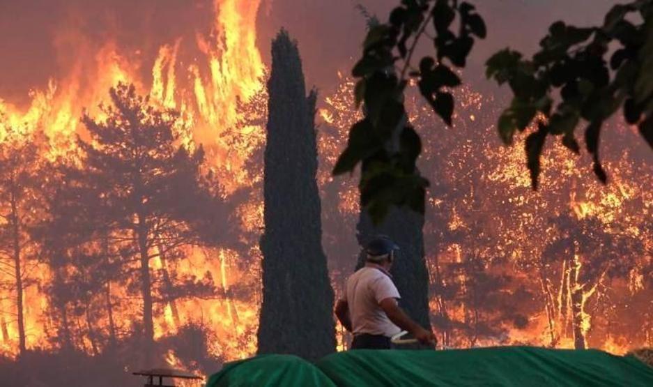 Herkes bunu merak ediyor: Orman yangınları aynı anda nasıl başladı
