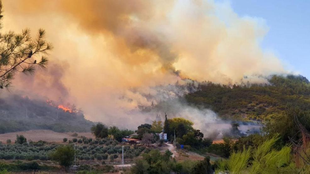 Herkes bunu merak ediyor: Orman yangınları aynı anda nasıl başladı