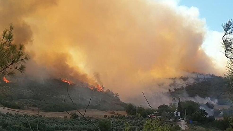 Herkes bunu merak ediyor: Orman yangınları aynı anda nasıl başladı