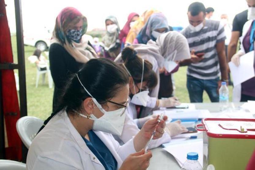 Yaylada aşı kuyruğu