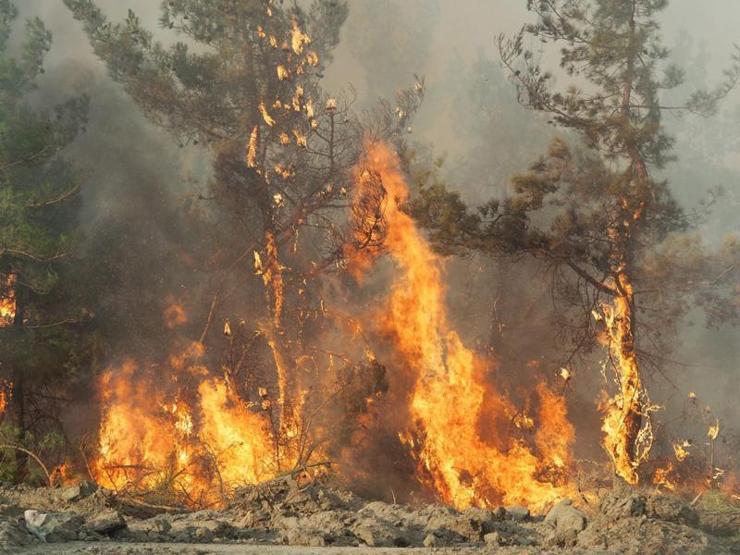 Orman yangınlarıyla mücadele sürüyor: İşte saat saat yangınlarda son durum