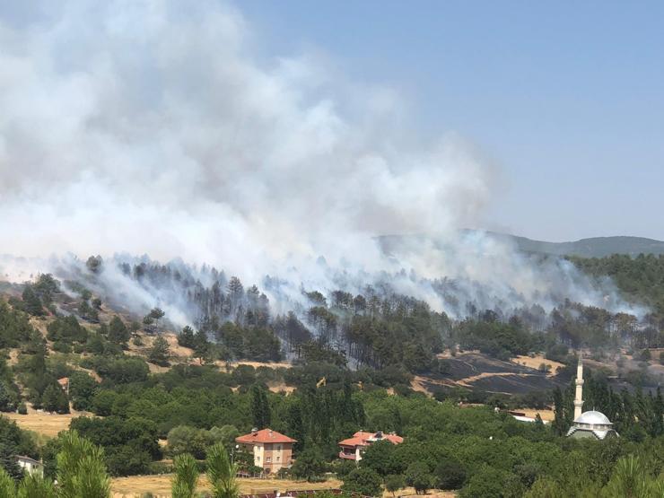 Orman yangınlarıyla mücadele sürüyor: İşte saat saat yangınlarda son durum
