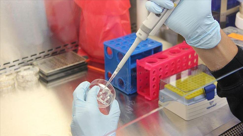 Bakan Kocadan 3 önemli mesaj: Aşı olmayana sinemada, tiyatroda yolculukta PCR testi olabilir