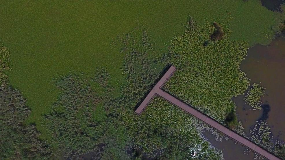 Efteni Kuş Cenneti drone ile görüntülendi